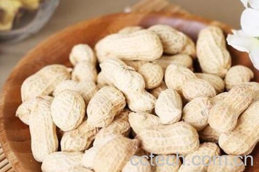 晒干花生的功效与作用-0