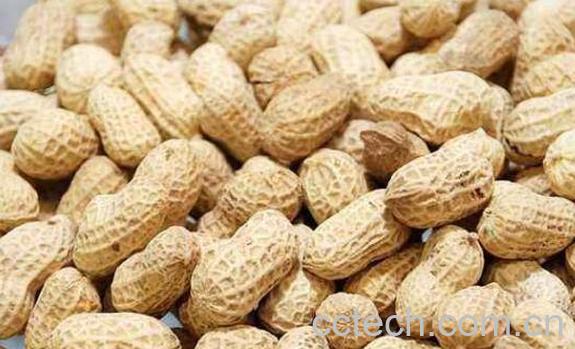 白晒花生的功效和作用-0