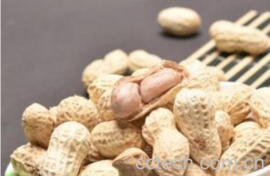 白晒花生的功效和作用-1