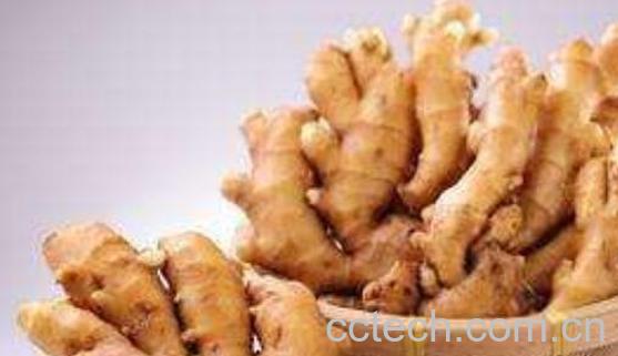 茅岩姜的功效与作用及禁忌-0