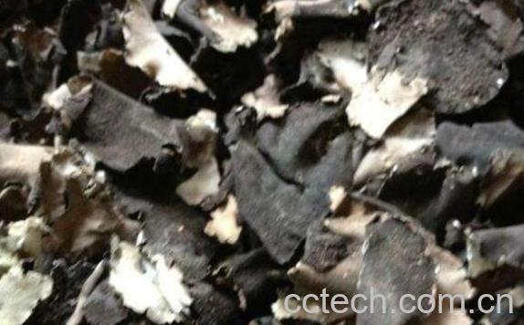  岩耳怎么吃 岩耳的家常吃法-0