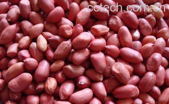 红皮花生米怎么吃补血-1