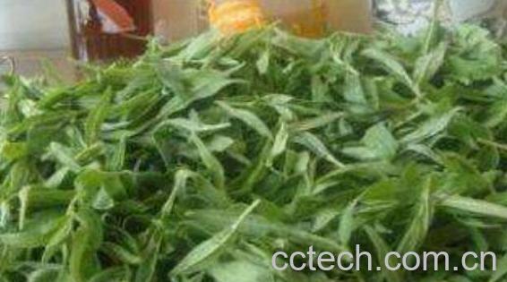 鸭嘴菜的功效与作用 鸭嘴菜的禁忌-0