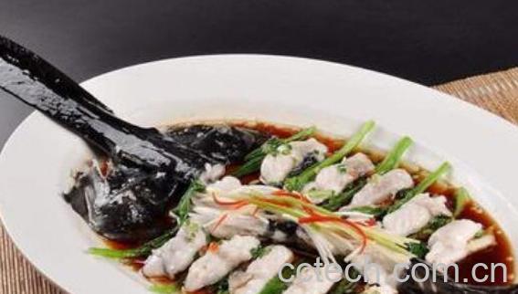 鸭嘴鱼怎么做好吃 鸭嘴鱼的吃法禁忌-0