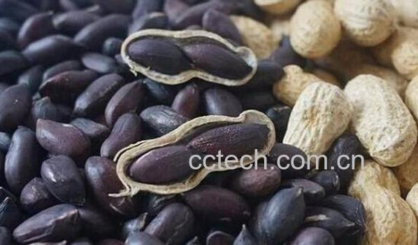 黑花生的功效与作用-0