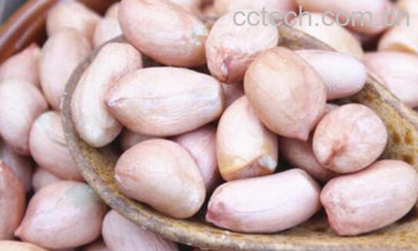 白皮花生的功效与作用-1