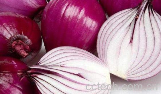 生吃洋葱头的功效与作用-1
