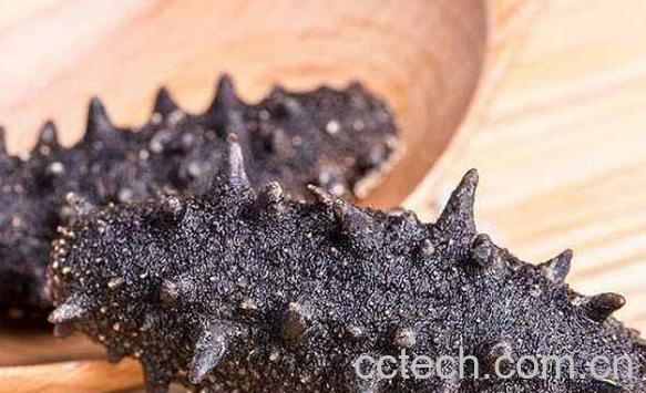 即食海参和干海参的区别-0