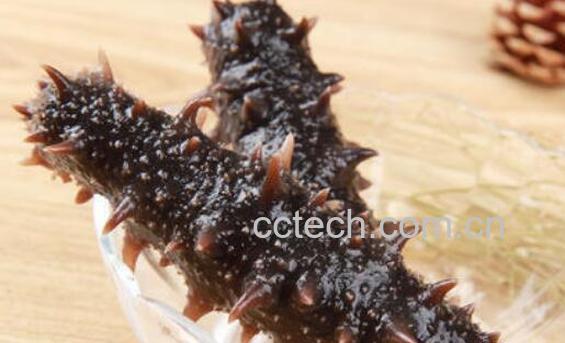 即食海参和干海参的区别-1