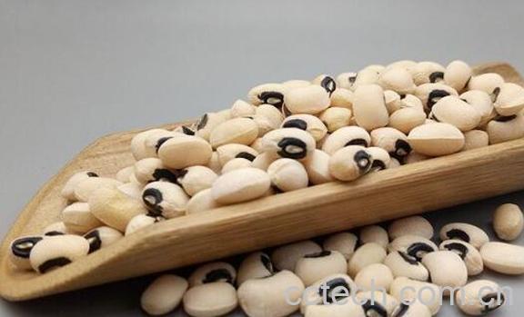 鹅眉豆的功效与作用 鹅眉豆的营养价值-1
