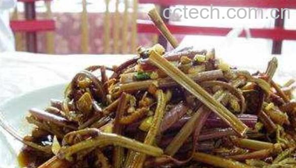 盐蕨菜怎么做好吃 盐蕨菜的做法大全-1