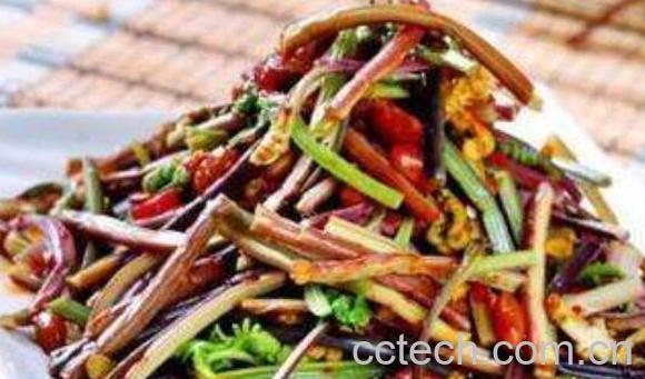 盐蕨菜怎么做好吃 盐蕨菜的做法大全-0