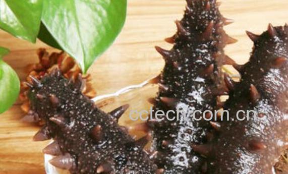 即食海参怎么吃 即食海参的常见吃法-0