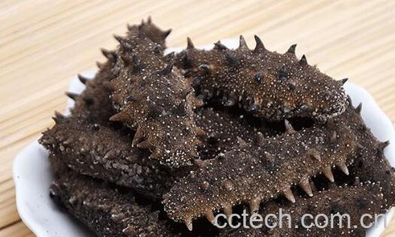 即食海参怎么吃 即食海参的常见吃法-1