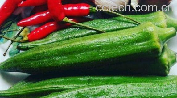 羊角果的功效与作用-1