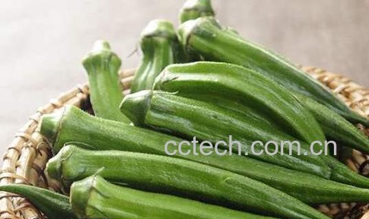 羊角果的功效与作用-0