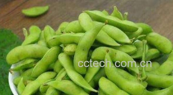 毛豆的功效与作用及禁忌-1