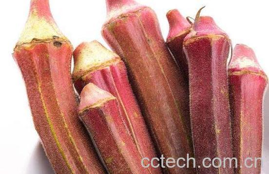 紫秋葵的功效与作用 紫秋葵的食用方法-1