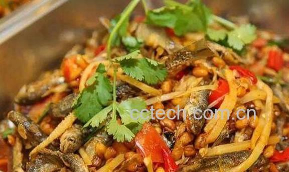 麻黄豆怎么做 麻黄豆的制作方法-0