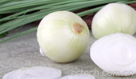 白皮圆葱的功效与作用-0