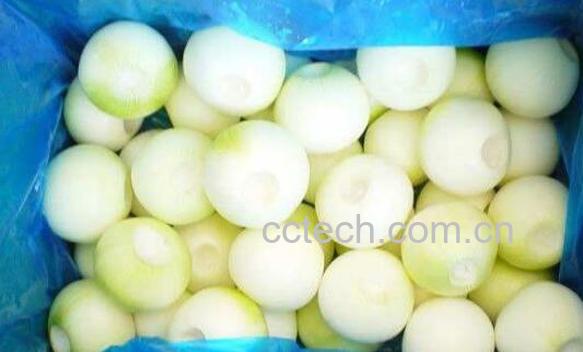 白皮圆葱的功效与作用-1