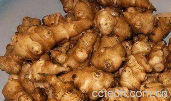 洋芋头怎么做好吃 洋芋头的家常做法教程-0