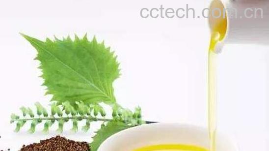 紫苏油怎么吃 紫苏油的食用方法-1