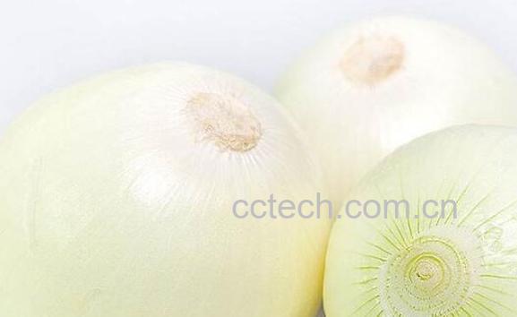 黄洋葱和紫洋葱的区别 黄洋葱和紫洋葱哪个好-1