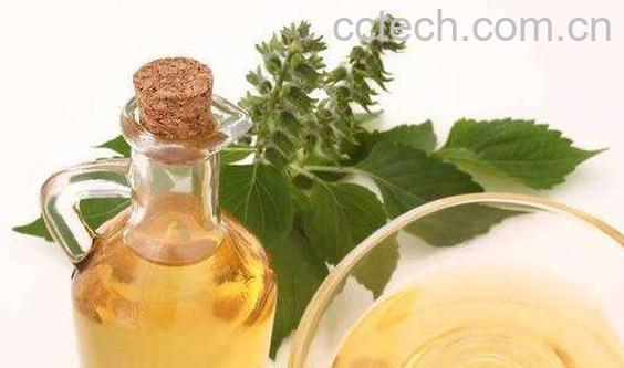 紫苏油的功效与作用 紫苏油的副作用与禁忌-0