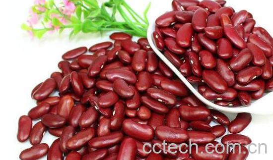 腰豆的功效与作用 腰豆的食用方法-0