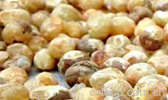 竹米怎么吃 竹米的食用方法-0