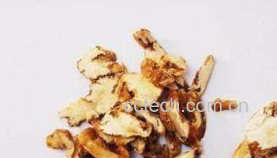 老虎姜怎么吃最好 老虎姜的食用方法-1