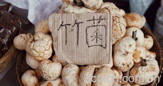 竹菌的功效与作用 吃竹菌有什么禁忌-0