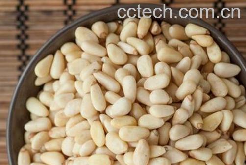 松子仁怎么来的 松子仁的副作用有哪些-0