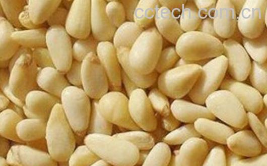 松子仁怎么来的 松子仁的副作用有哪些-1