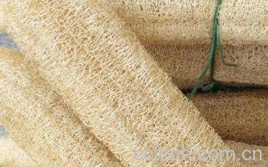 丝瓜壳的功效与作用及药用价值-0