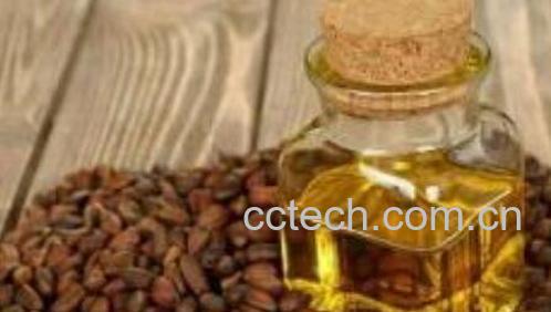 松子油怎么吃 吃松子油有什么好处-1