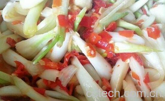 茭头的功效与作用禁忌-1