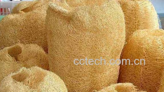 干丝瓜煮水的功效与作用-0