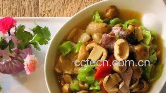 青头菌的功效与作用 青头菌怎么做好吃-0