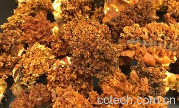 海参花的功效与作用 吃海参花的好处-0