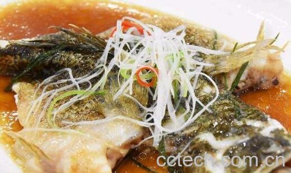 笋壳鱼的功效与作用及禁忌-0