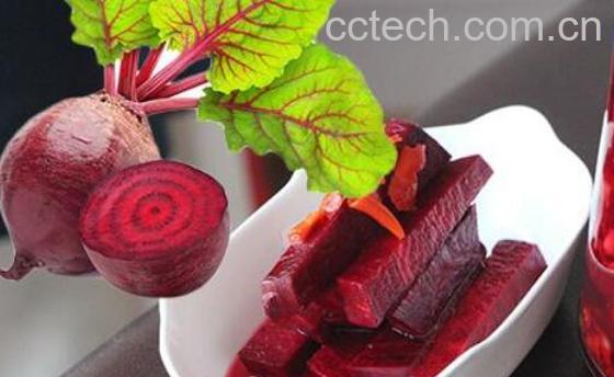 甜菜根的功效与作用-1