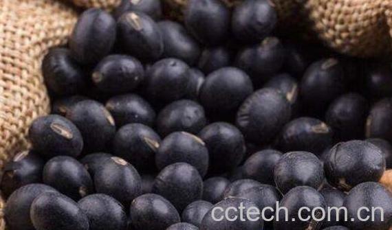 女性盲目吃黑豆的坏处 女性黑豆的好处-1