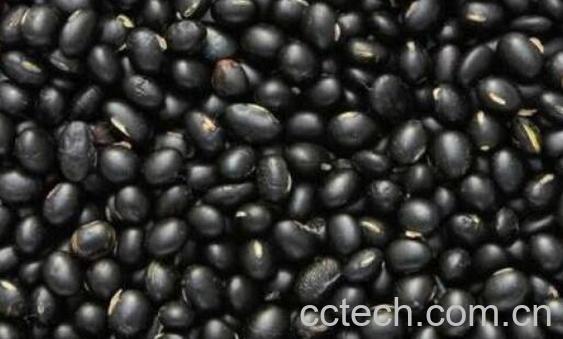 女性盲目吃黑豆的坏处 女性黑豆的好处-0