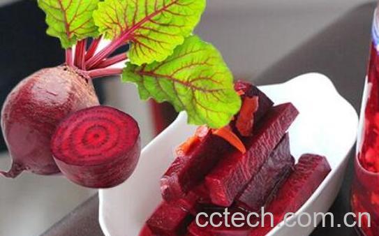甜菜头怎么吃 甜菜头的食用方法-0