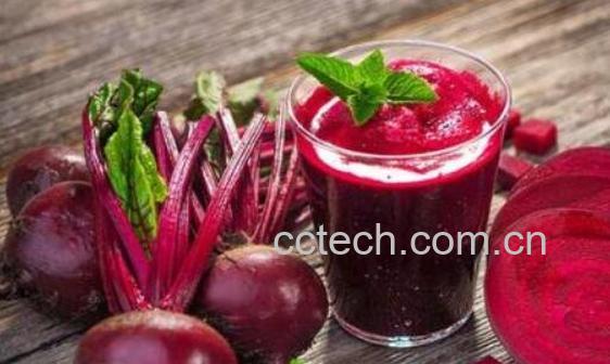 甜菜头的功效与作用及禁忌-1
