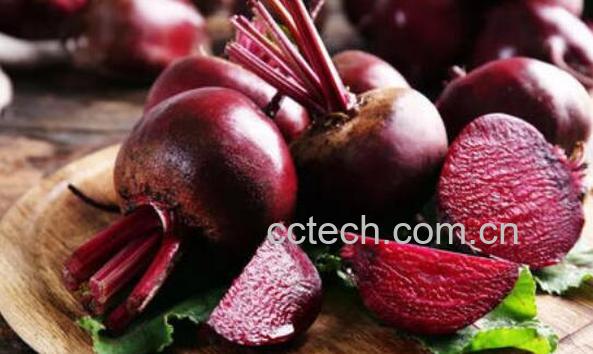 甜菜头的功效与作用及禁忌-0