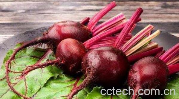 甜菜根怎么吃 甜菜根的常见吃法-1