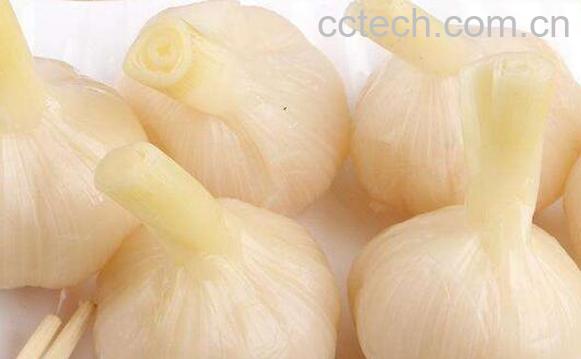 甜蒜的功效与作用 甜蒜的营养价值-0